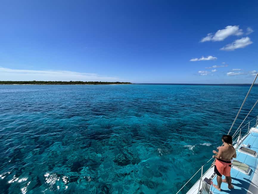 La Romana: Catalina Island for Mein Schiff Cruise Passengers - The Wall: 45 minutes among coral and fish