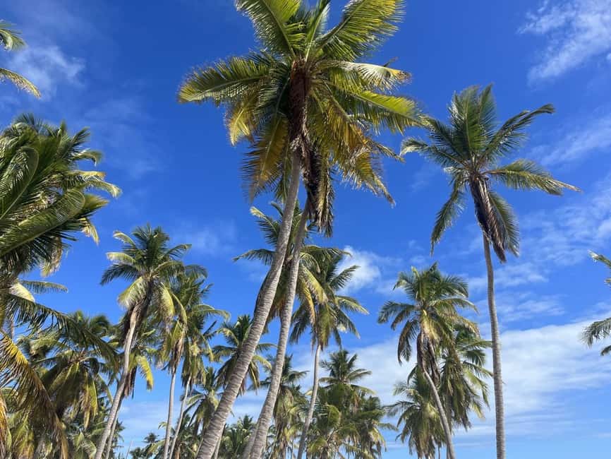 La Romana: Saona Island for Norwegian Sky Cruise Passengers - What the $128 price really covers