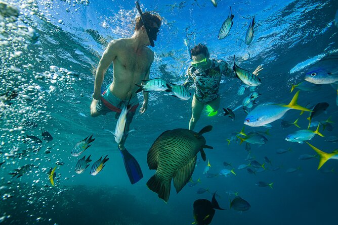 Lady Enid Sailing to Hook Island Cultural Site & Snorkelling - Snorkelling near Hook Island