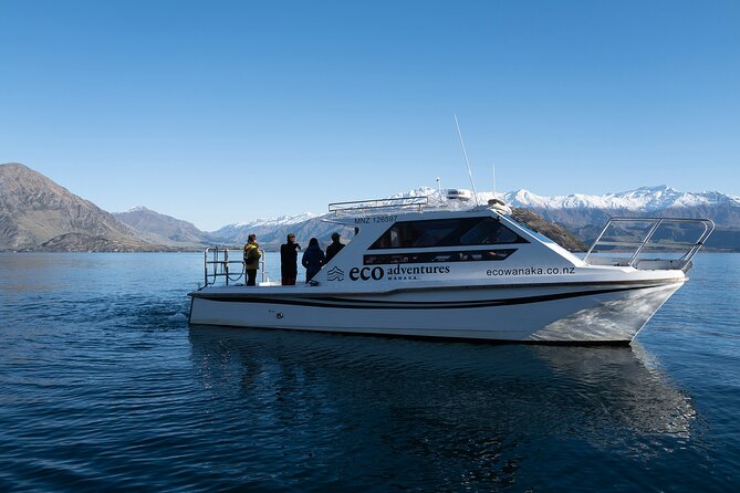 Lake Cruise & Mou Waho Island Nature Walk - Why Mou Waho makes this a special Wanaka outing