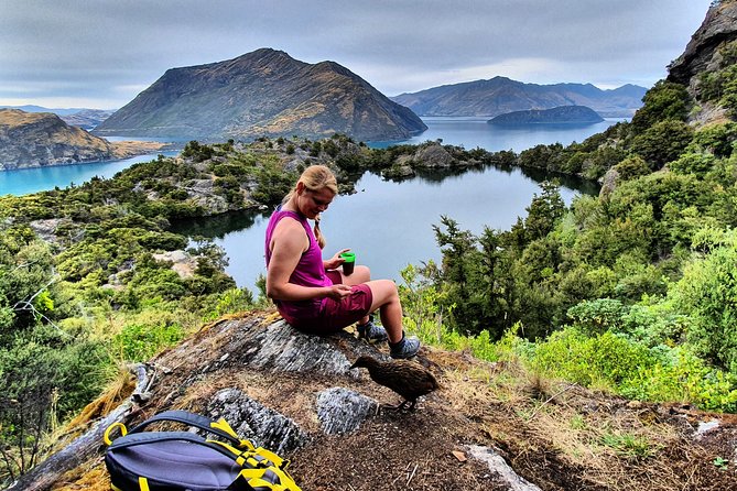 Lake Cruise & Mou Waho Island Nature Walk - The one-hour walk to the island lake
