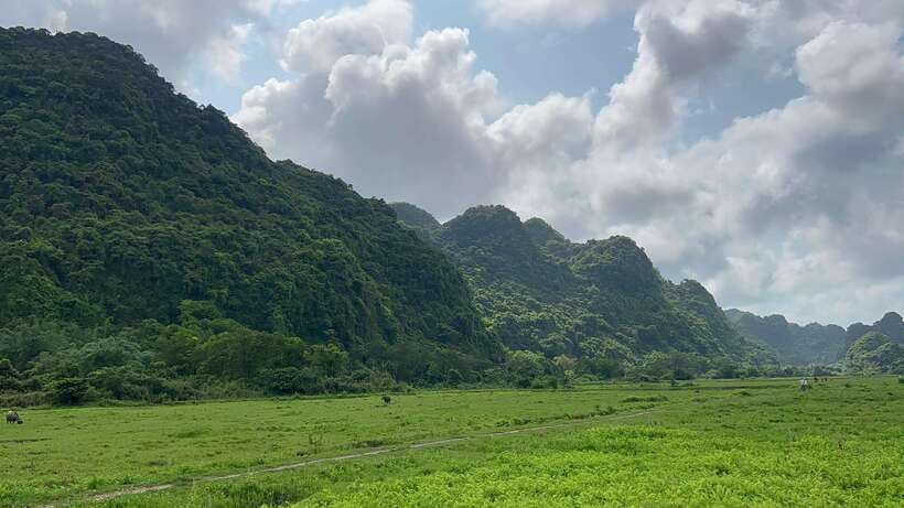 Lan Ha Bay Cat Ba Island Sightseeing Cruise 2 Days Tour - Returning to the boat and Hanoi