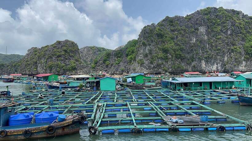 Lan Ha Bay Cat Ba Island Sightseeing Cruise 2 Days Tour - Swimming, boat jumping, and the afternoon break