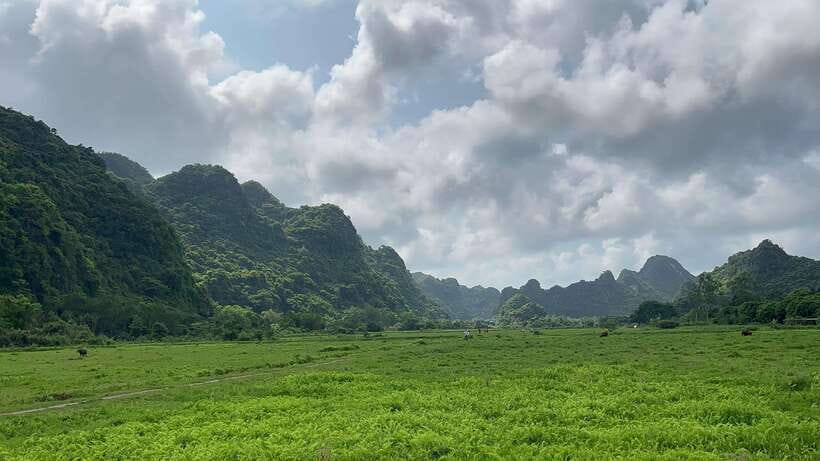 Lan Ha Bay Cat Ba Island Sightseeing Cruise 2 Days Tour - Cycling 5 kilometers to Viet Hai Village