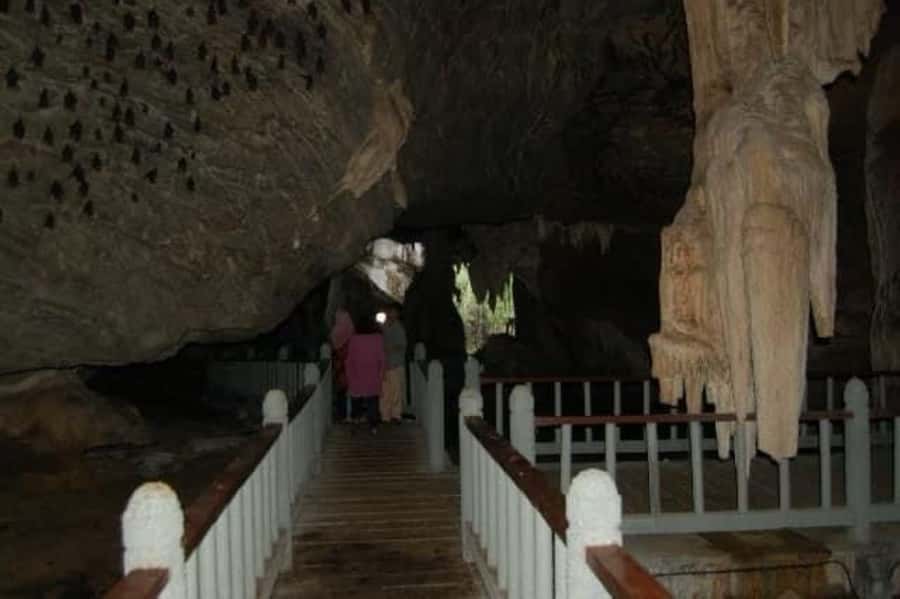 Langkawi: Boat Tour to Magic Island & Mangrove Cruise - Mangrove channels and Kilim’s limestone walls
