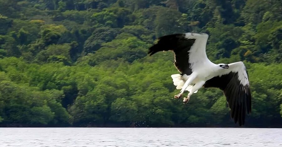 Langkawi: Island Hopping Shared or Private Boat Options - Pulau Dayang Bunting and the famous freshwater lake