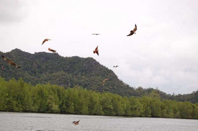 Langkawi: Island Hopping Tour - What the guide service is really like