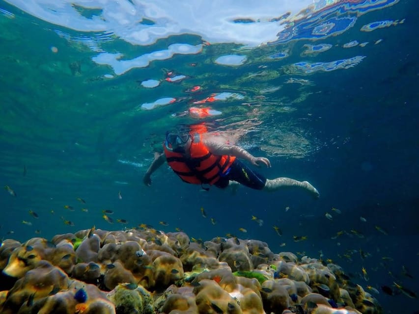 Lanta's Hidden Gems: 4 Islands by Traditional Longtail Boat - Snorkeling expectations: keep them realistic