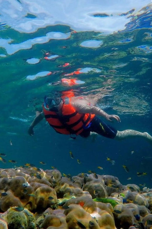 Lanta's Hidden Gems: 4 Islands by Traditional Longtail Boat - Koh Chueak: the best chance for snorkeling