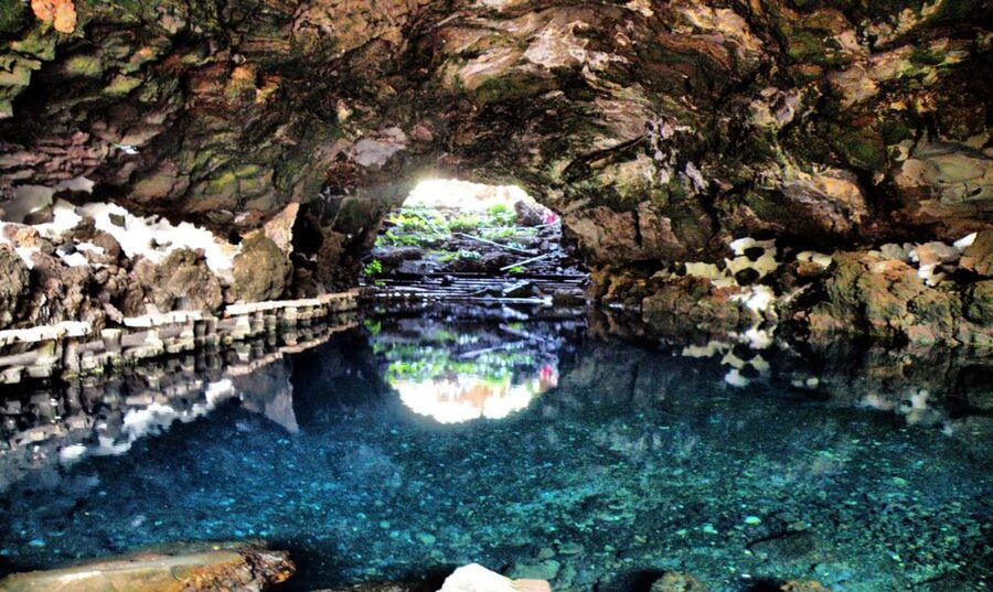 Lanzarote: Jameos del Agua & North Island for Cruise Guests - Should you book it?