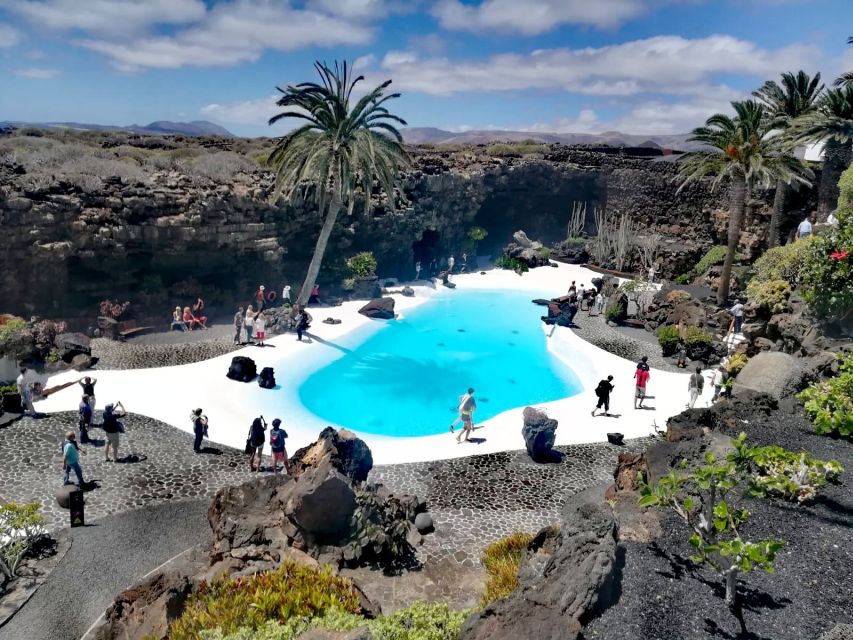 Lanzarote: Jameos del Agua & North Island for Cruise Guests - From the port to Haría’s Valley of a Thousand Palm Trees