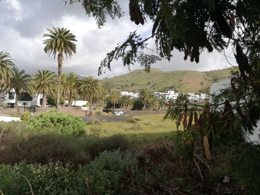 Lanzarote: Jameos del Agua & North Island for Cruise Guests - What the $47 price includes