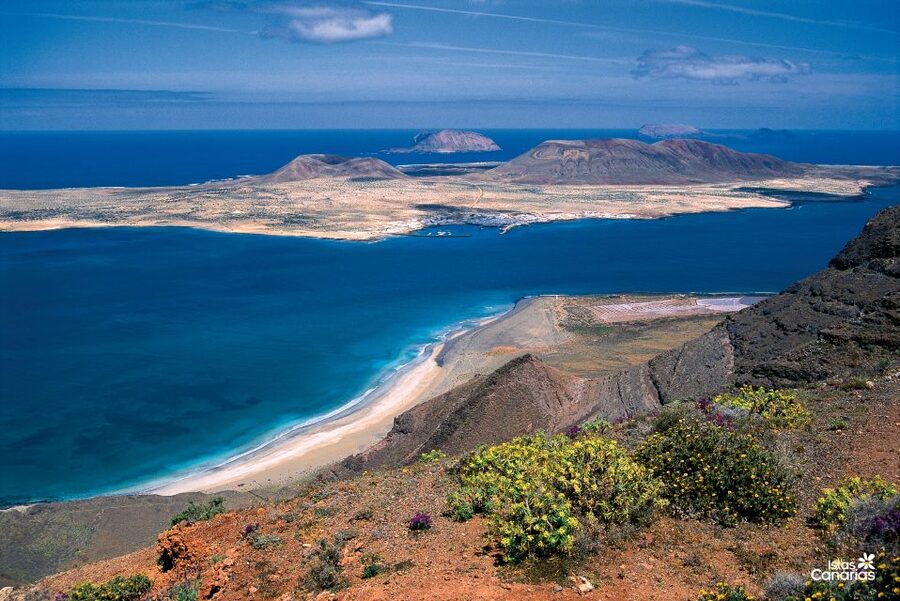 Lanzarote: Jameos del Agua & North Island for Cruise Guests - Guides, languages, and the feel of the outing