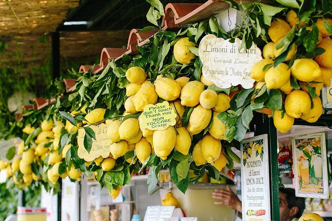 Li Galli Islands and Capri Small Group Boat Tour from Amalfi - What the $252.76 Price Really Covers
