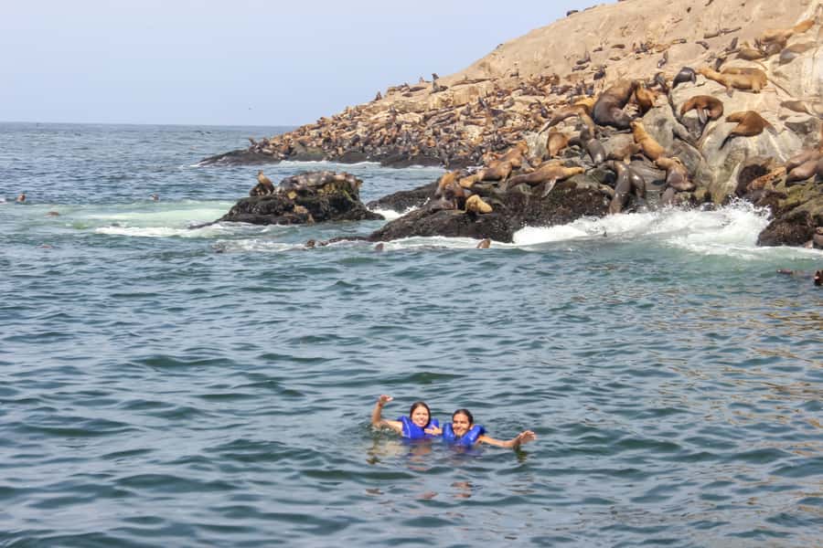 Lima: Palomino Islands Speedboat Tour & Swim with Sea Lions - Booking flexibility and pickup details
