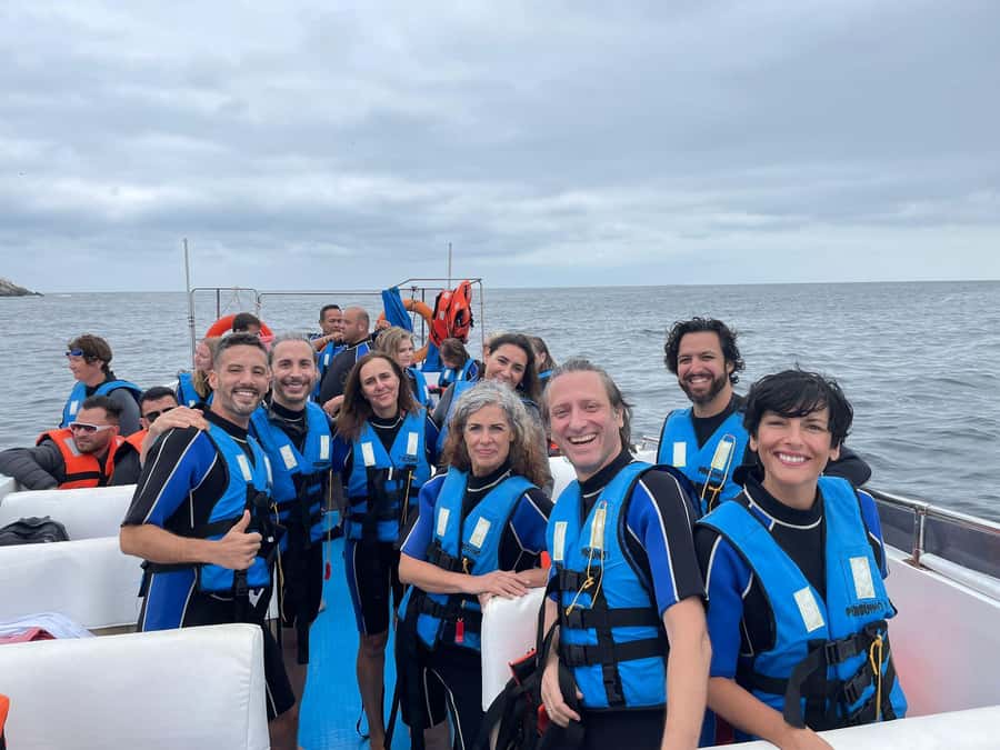 Lima: Palomino Islands Speedboat Tour & Swim with Sea Lions - Meeting the sea lions at the Palomino Islands