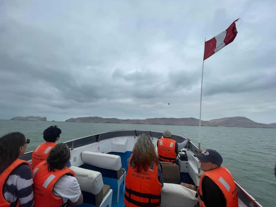 Lima: Palomino Islands Speedboat Tour & Swim with Sea Lions - Birdwatching around the coastal islands