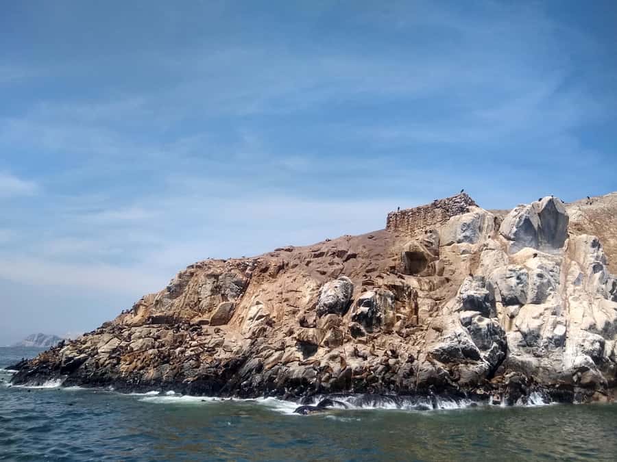 Lima: Palomino Islands Speedboat Tour & Swim with Sea Lions - Who should book this Lima boat trip?