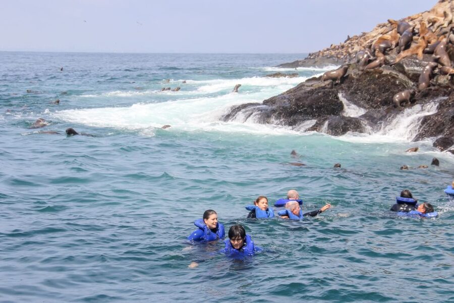 Lima: Palomino Islands Speedboat Tour & Swim with Sea Lions - What to bring for a comfortable outing