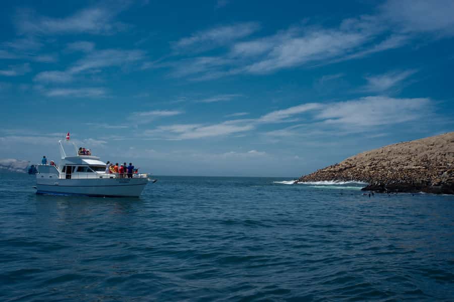 Lima: Sea Lion Swim and Wildlife Palomino Islands Cruise - From La Punta to the Palomino Islands