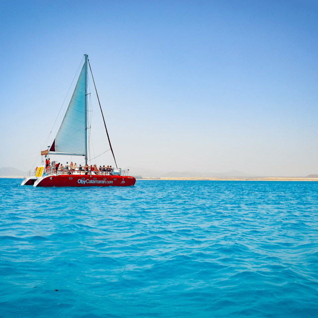 Lobos Island: 4-Hour Catamaran Trip with Lunch - Key points to know before booking