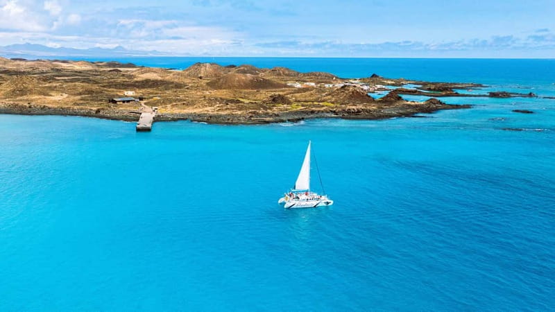 Lobos Island: 4-Hour Catamaran Trip with Lunch - Lobos Island: a short visit with a clear target