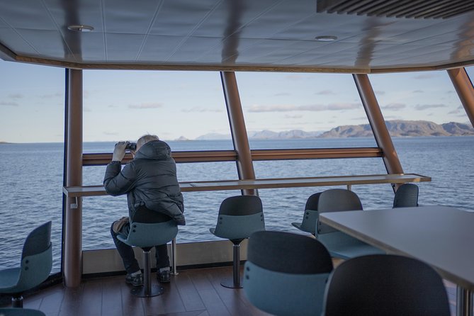 Lofoten Island: Silent Trollfjord Cruise from Svolvær - What the underwater drone adds