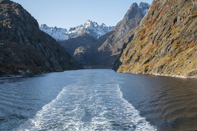Lofoten Island: Silent Trollfjord Cruise from Svolvær - Finding the best seat on a boat for 120 people