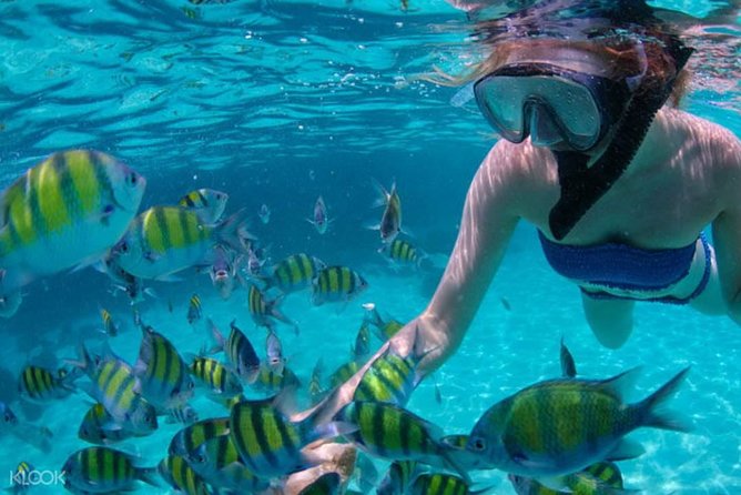 Mactan Cebu Island Hopping with Lunch - Gilutungan, Caohagan, Nalusuan - Three islands, but three different kinds of stops