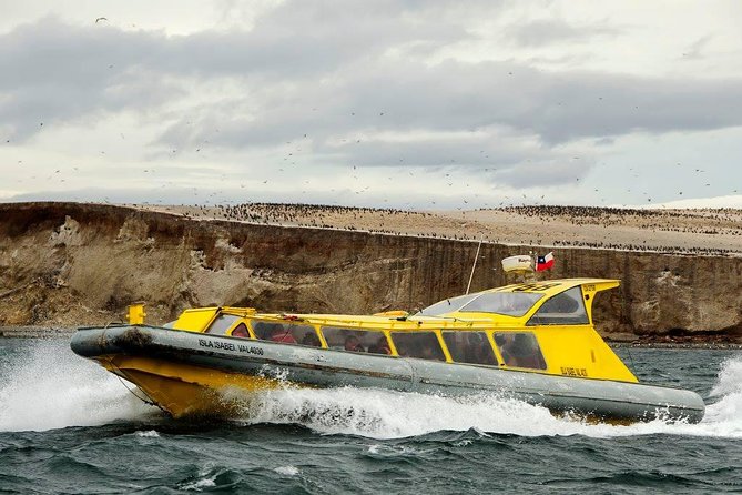Magdalena Island Penguin Tour by Boat from Punta Arenas - From José Nogueira Street to the Strait of Magellan
