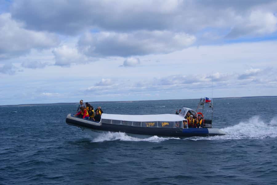 Magdalena Island Penguin Tour by Boat from Punta Arenas - What to bring and what to leave behind