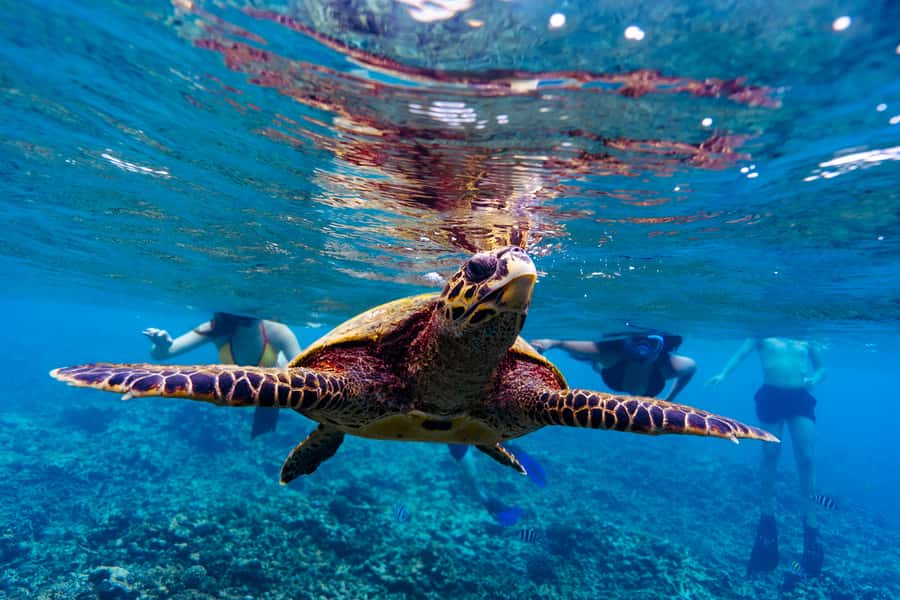 Mahé: Saint-Anne Marine Park and Moyenne Island Cruise - Saint-Anne Marine Park and the first reef stop