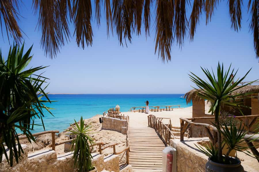 Mahmya Island: Red Sea Sailing Experience - Practical details for a smoother day