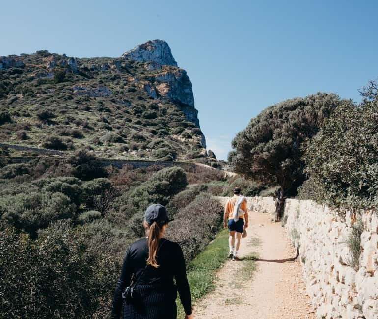 Majorca: Visit the Natural Park of Dragonera Island by boat - The four routes and the time problem