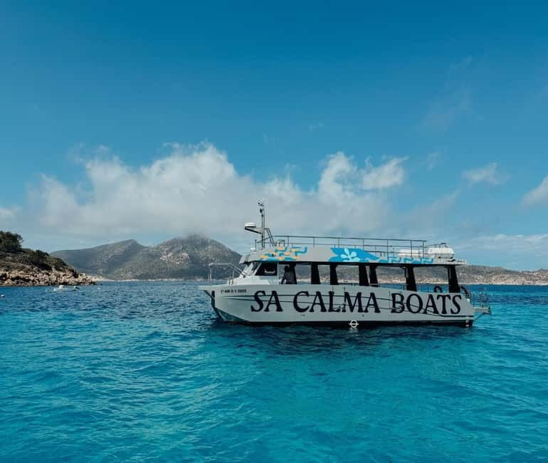 Majorca: Visit the Natural Park of Dragonera Island by boat - The geckos and the views are the payoff