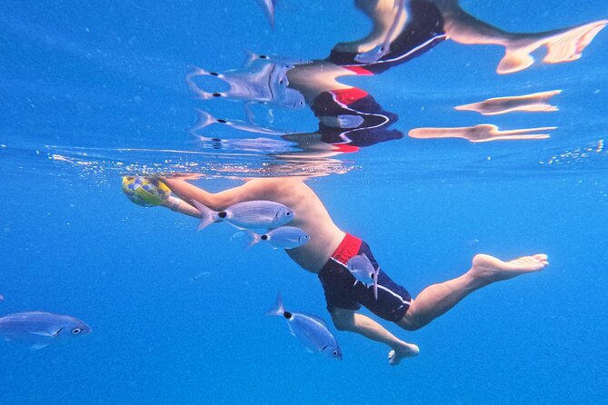 Makarska: 3-Island Speedboat Tour with Cave and Blue Lagoon - Pokrivenik and the first taste of Hvar