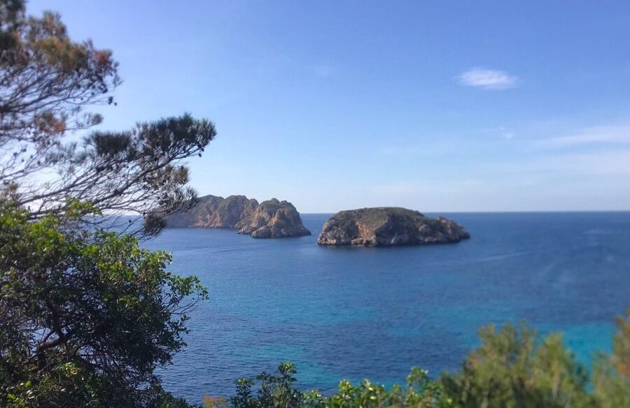 Mallorca: 2-Hour Coastline & Malgrat Islands Catamaran Tour - The 20-minute swim stop