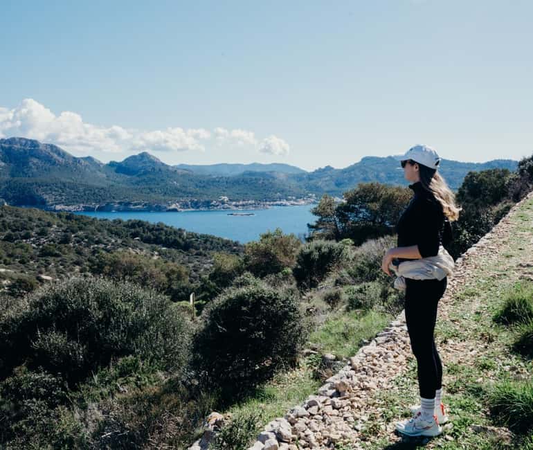 Mallorca: Boat tour to Dragonera Island + Sant Elm - The short transfer to Sant Elm
