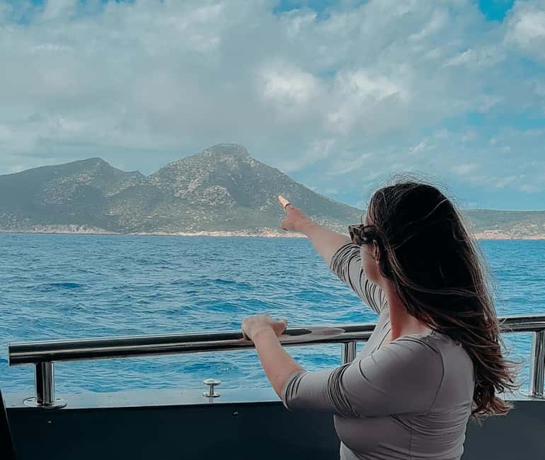 Mallorca: Boat tour to Dragonera Island + Sant Elm - Who will enjoy this boat trip most