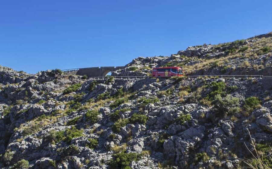 Mallorca Island Tour with Boat, Train, Tram and Bus - Lluc Monastery instead of a leather factory