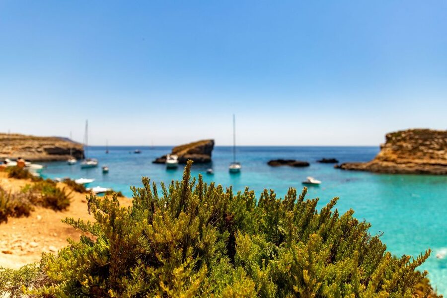 Malta: Blue Lagoon, Comino & St Paul's Islands Cruise - Three and a half hours at Blue Lagoon