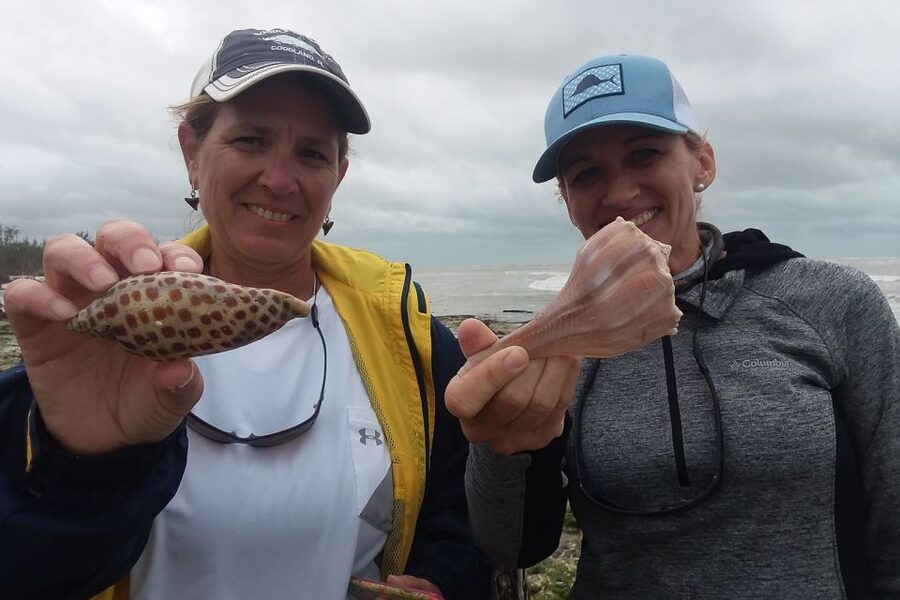 Marco Island: 10,000 Islands Shelling Boat Tour - The return cruise and the last wildlife search