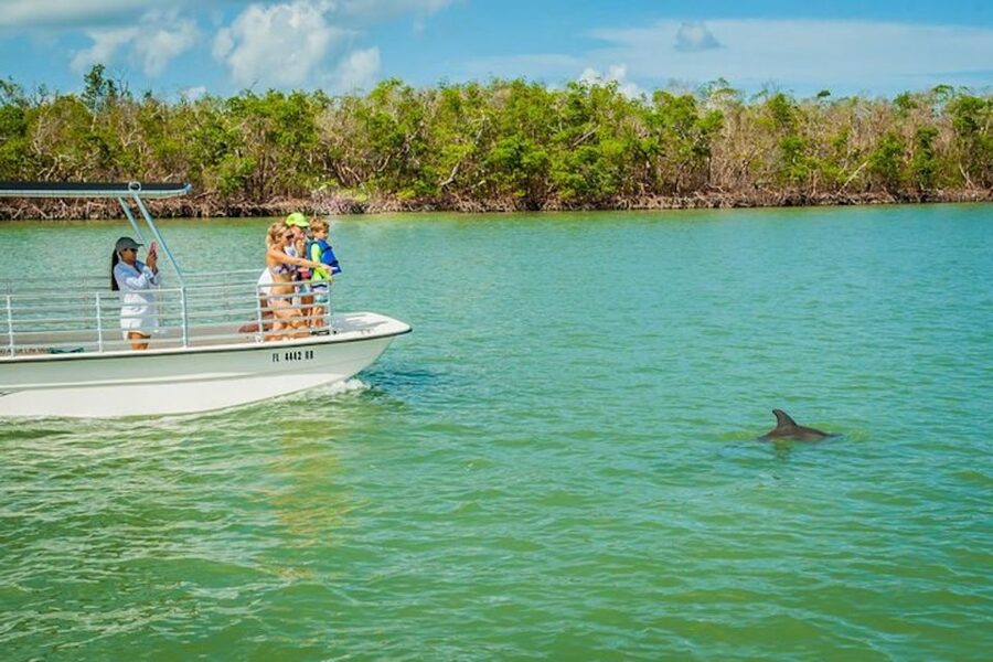 Marco Island: Dolphin-Watching Boat Tour - Guides who make the difference