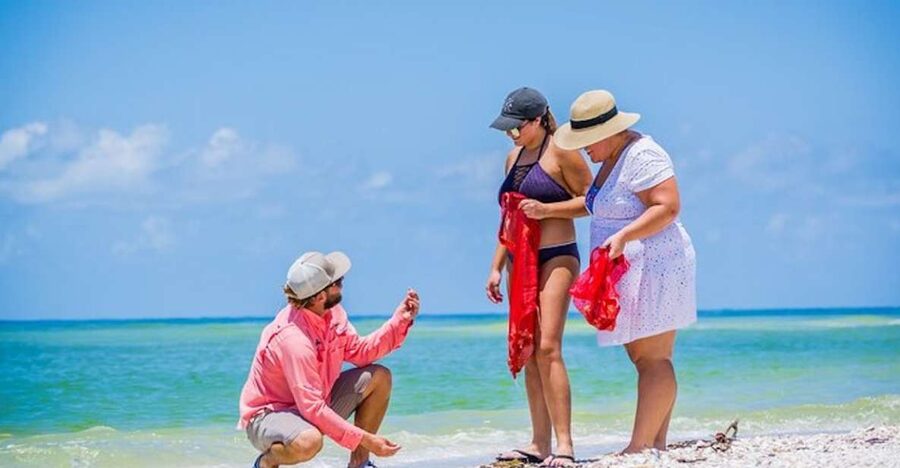 Marco Island: Shelling and Sightseeing Boat Cruise - Cruising through the Ten Thousand Islands