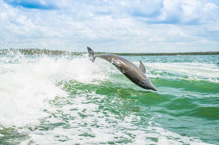 Marco Island: Shelling and Sightseeing Boat Cruise - Is $113 a fair price?