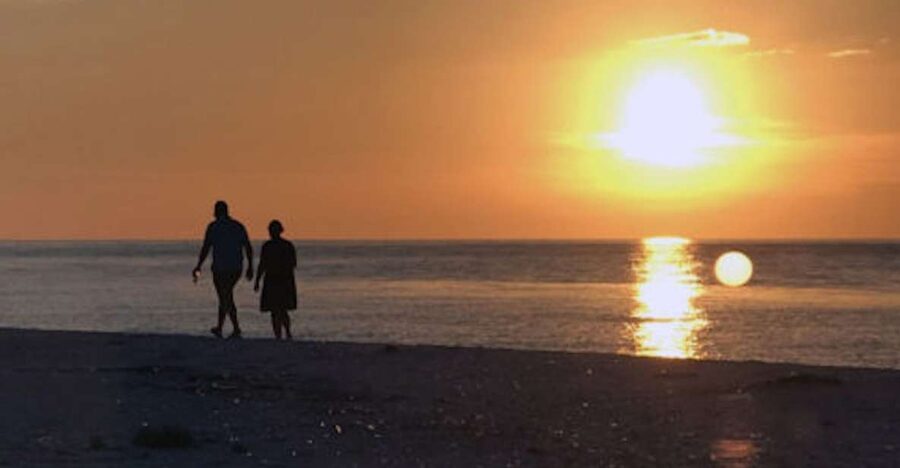 Marco Island: Sunset Boat Tour - Watching for dolphins and coastal wildlife