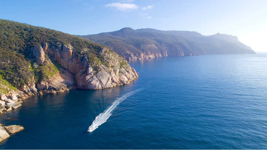 Maria Island 3 hours and 30 mins Scenic Cruise - Painted Cliffs, Fossil Cliffs, and the art of geology