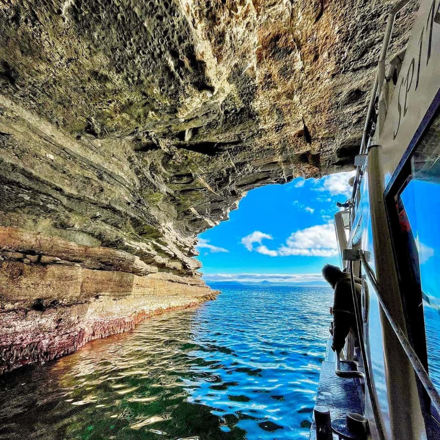 Maria Island 3 hours and 30 mins Scenic Cruise - Inside Ile Des Phoques’ rainbow sea caves