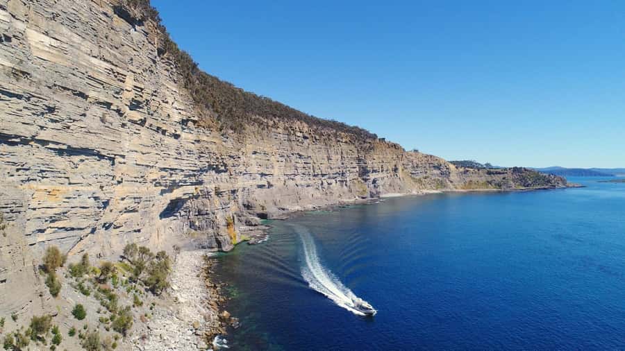 Maria Island 3 hours and 30 mins Scenic Cruise - Who will enjoy this cruise most