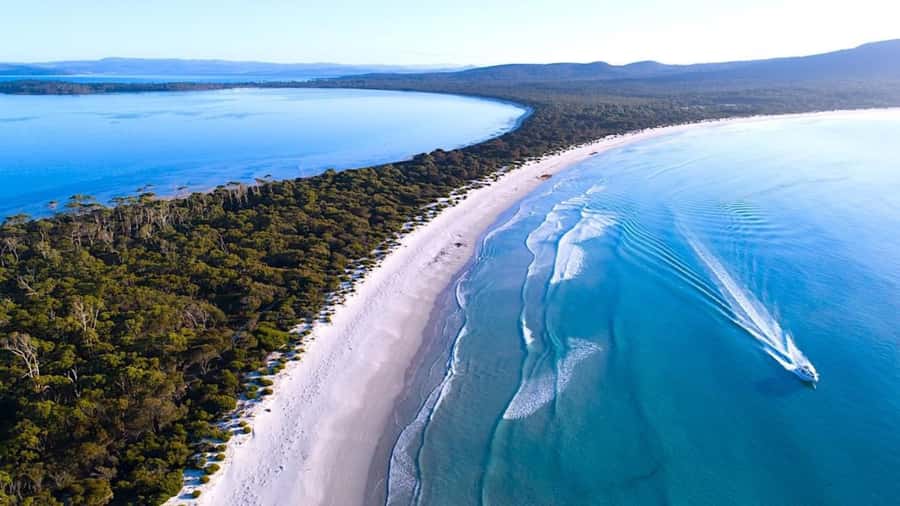 Maria Island 3 hours and 30 mins Scenic Cruise - Two routes, two different kinds of scenery